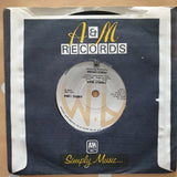Pablo Cruise ‎– I Want You Tonight - Vinyl 7" Record - Very-Good+ Quality (VG+) - C-Plan Audio