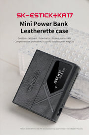 FiiO - SK-ESTICK+KA17 -  Leather Case to Hold Together the Estick and KA17  (In Stock) nbb