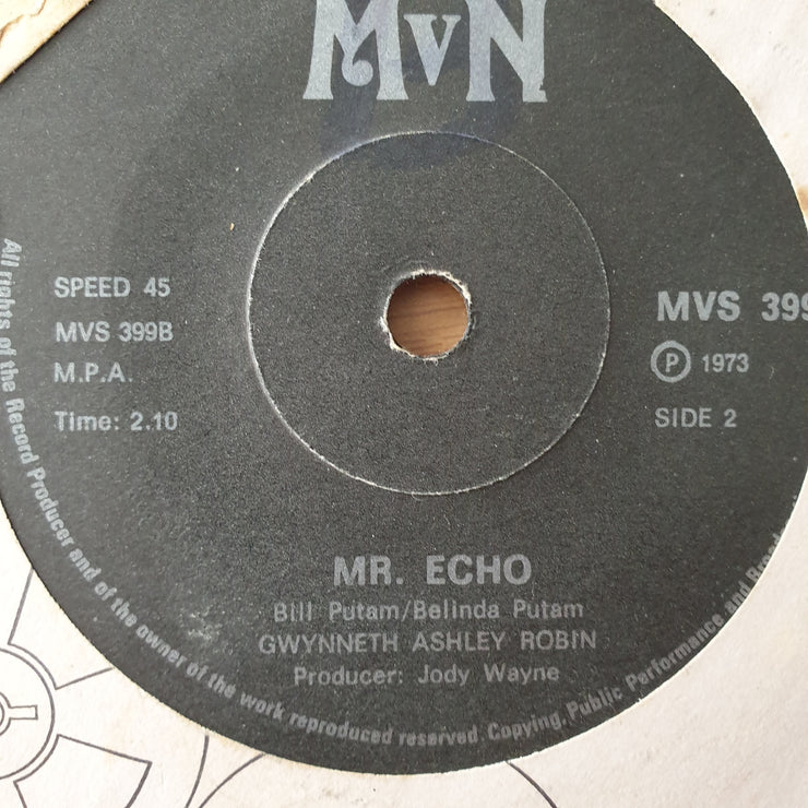 Gwynneth Ashley Robin – Little Jimmy - Vinyl 7" Record - Very-Good+ Quality (VG+) (verygoodplus7)