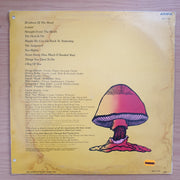 The Allman Brothers Band – Brothers Of The Road - Vinyl LP Record - Very-Good+ Quality (VG+)