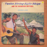Twelve String Sipho Sibiya & The Mountain Brothers – Iswidi Lami (Zulu Traditional) -  Vinyl LP Record - Sealed
