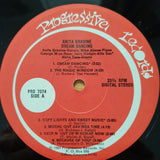 Anita Gravine – Dream Dancing - Vinyl LP Record - Very-Good+ Quality (VG+)