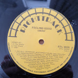 Ebony – Feeling Good - Vinyl LP Record - Good+ Quality (G+) (gplus)