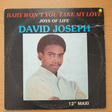 David Joseph – The Joys Of Life -  Vinyl LP Record - Very-Good Quality (VG)  (verry)