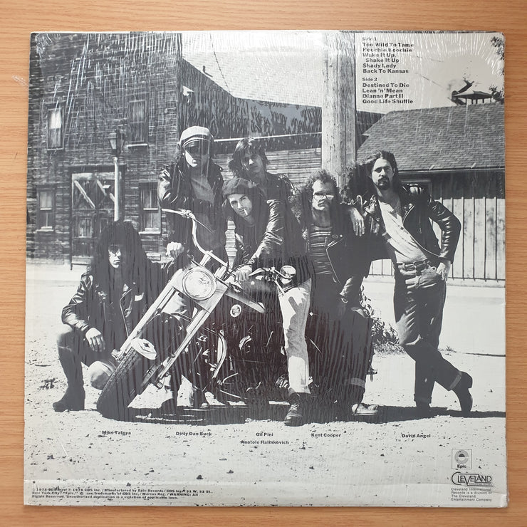 The Boyzz – Too Wild To Tame - Vinyl LP Record - Very-Good+ Quality (VG+)