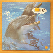 Erasure – Breath Of Life - Vinyl LP Record - Very-Good+ Quality (VG+) (verygoodplus)