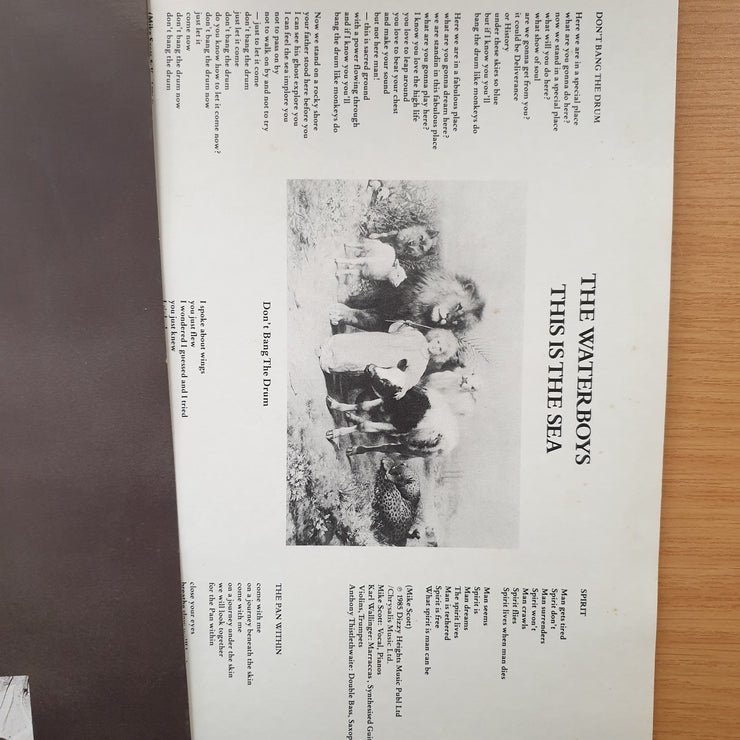 The Waterboys – This Is The Sea (with Lyrics inner) - Vinyl LP Record - Very-Good+ Quality (VG+) (verygoodplus)