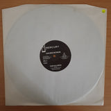 Dan Reed Network – Tiger In A Dress - Vinyl LP Record - Very-Good+ Quality (VG+) (verygoodplus)