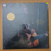 Willie Nelson – What A Wonderful World - Vinyl LP Record - Very-Good+ Quality (VG+) (verygoodplus)