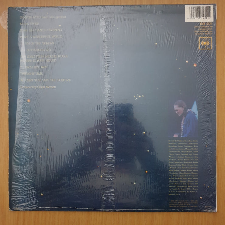 Willie Nelson – What A Wonderful World - Vinyl LP Record - Very-Good+ Quality (VG+) (verygoodplus)