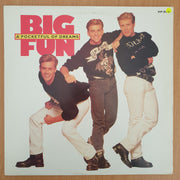 Big Fun – A Pocketful Of Dreams - Vinyl LP Record - Very-Good Quality (VG)  (verry)