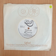 Rabbitt – Morning Light - Vinyl 7" Record (VG+)