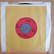 The Byrds – Mr. Tambourine Man / I Knew I'd Want You - Vinyl 7” Record  (VG+) (Aryeh)