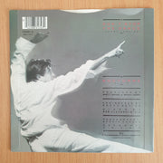 Bryan Ferry – Don't Stop The Dance - Vinyl 7” Record  (VG+) (Aryeh)