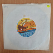 ABBA – Summer Night City - Vinyl 7” Record  (VG+) (Aryeh)