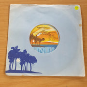 ABBA – Summer Night City - 7” Record (VG+)  (MWA)
