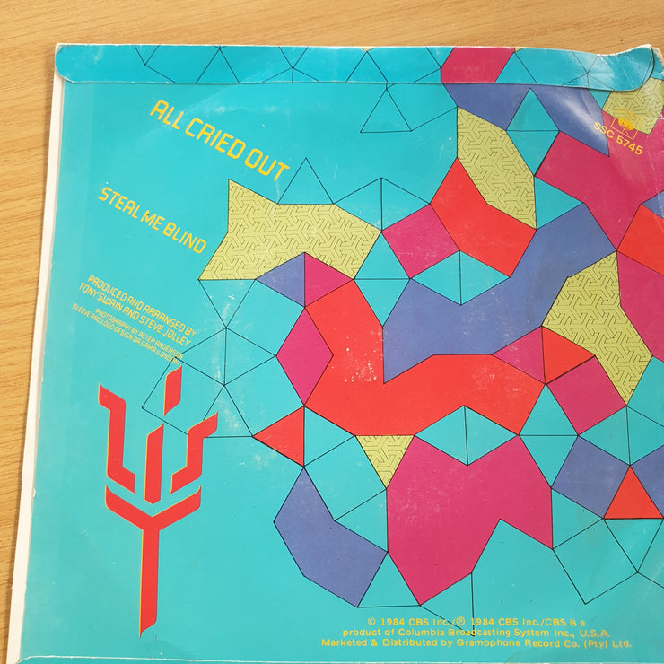 Alison Moyet – All Cried Out - Steal Me Blind - 7” Record (VG+)  (MWA)