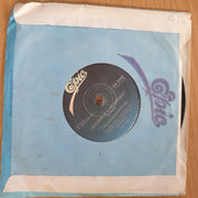 The Elvis Brothers - Fire In The City - Hidden In A Heartbeat - 7” Record (VG+)  (MWA)