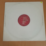 DJ Genesis – Back In The Middle - Vinyl LP Record - Very-Good+ Quality (VG+) (verygoodplus)