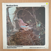 Woodland Birds -Vinyl LP Record (VG+)