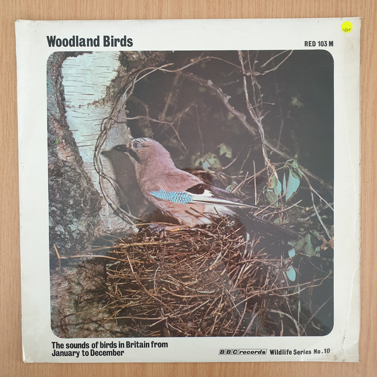 Woodland Birds -Vinyl LP Record (VG+)