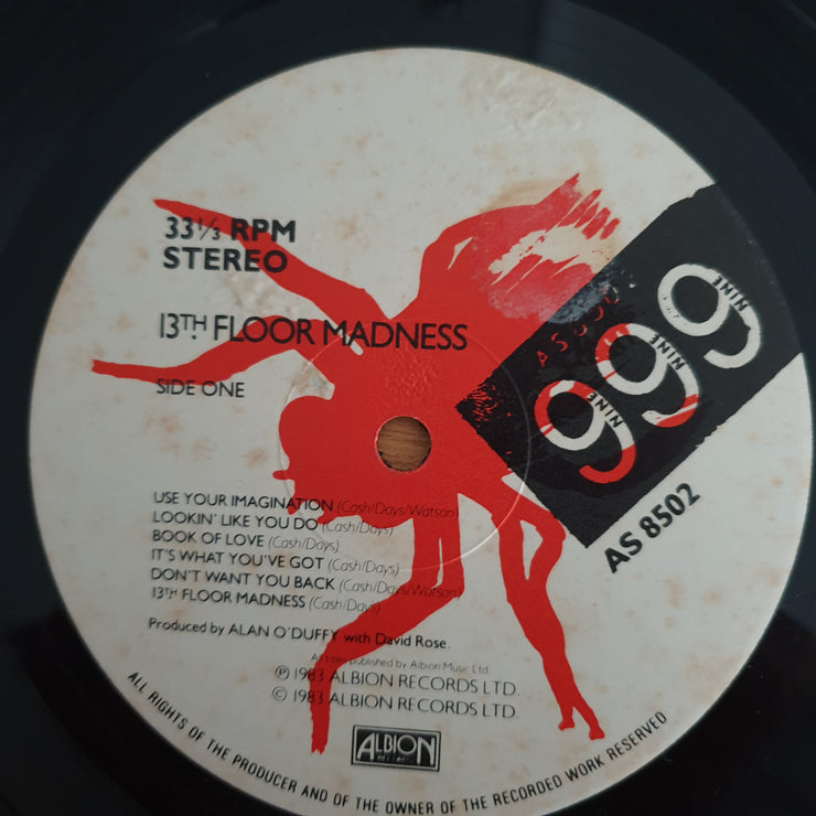 999 – 13th Floor Madness - Vinyl LP Record (VG+)