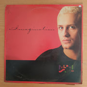 Belouis Some – Imagination - 12" 45 RPM - Vinyl LP Record (VG+)