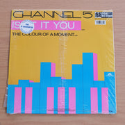 Channel 5  – Isn't It You - Vinyl LP Record  (VG+)
