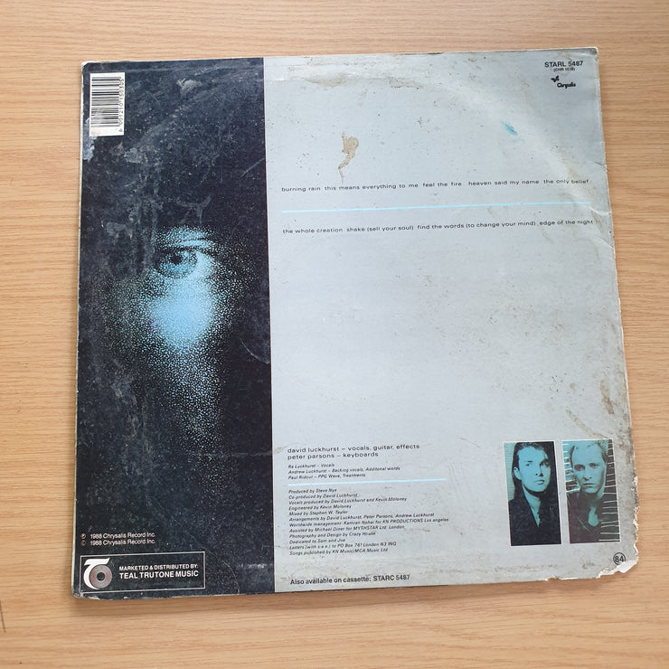 Crazy House ‎– Still Looking For Heaven On Earth - Vinyl LP Record - Very-Good+ Quality (VG+)