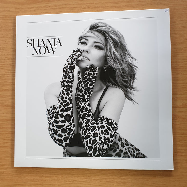 Shania Twain – Now  –  Vinyl LP Record (VG+)