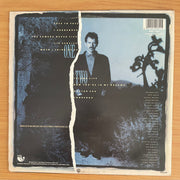 Michael Franks - The Camera Never Lies - Vinyl LP Record  (VG+)