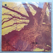 Wishbone Ash ‎– Pilgrimage - Vinyl LP Record - Very-Good+ Quality (VG+) - C-Plan Audio