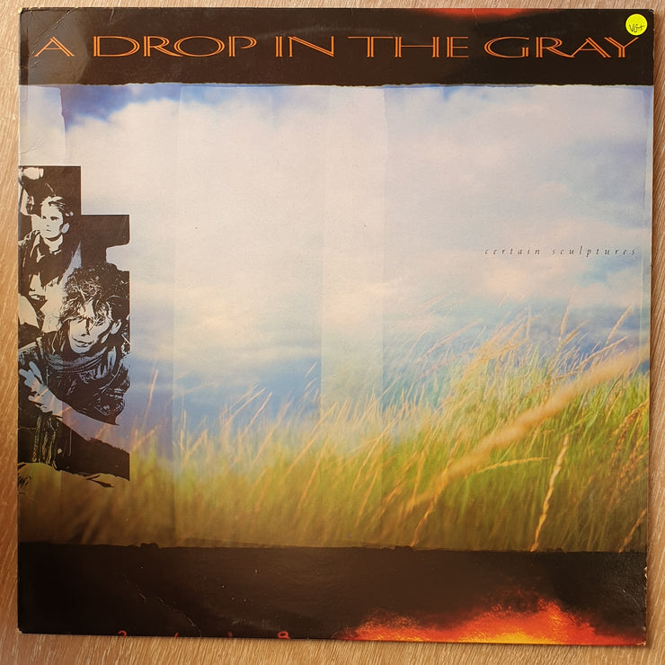 Certain Sculptures  - A Drop in The Grey - Vinyl LP Record - Opened  - Very-Good Quality+ (VG+) - C-Plan Audio
