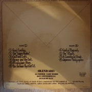 Blend - Do Not Blend - Vinyl LP - Sealed - Vinyl LP  Record - Opened  - Very-Good+ Quality (VG+) - C-Plan Audio