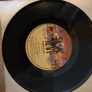 Ace Frehley ‎– New York Groove - 7" Vinyl Record - Opened  - Very-Good Quality (VG) - C-Plan Audio