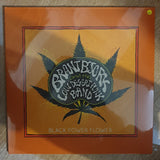 Brant Bjork And The Low Desert Punk Band ‎– Black Power Flower - Vinyl LP Record - Sealed - C-Plan Audio
