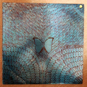 Santana ‎– Borboletta - Vinyl LP Record - Opened  - Very-Good Quality (VG) - C-Plan Audio