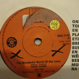 David Sands - The Wonderful World Of Our Love   - Vinyl 7" Record - Opened  - Very-Good Quality (VG) - C-Plan Audio