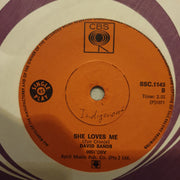 David Sands - The Wonderful World Of Our Love   - Vinyl 7" Record - Opened  - Very-Good Quality (VG) - C-Plan Audio