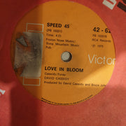 David Cassidy ‎– Get It Up For Love - Vinyl 7" Record - Very-Good- Quality (VG-) - C-Plan Audio