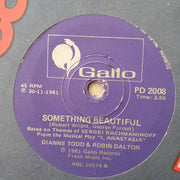 Dianne Todd & Robin Dalton - Snowflakes and Seethearts - Vinyl 7" Record - Very-Good+ Quality (VG+) - C-Plan Audio