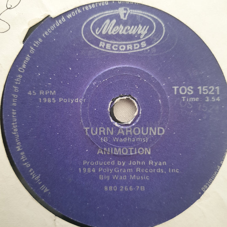 Animotion ‎– Obsession - Vinyl 7" Record - Opened  - Very-Good Quality (VG) - C-Plan Audio