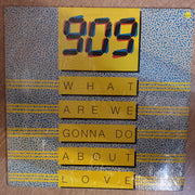909  ‎– What Are We Going To Do About Love (Rare SA) -  Vinyl LP Record - Very-Good+ Quality (VG+) - C-Plan Audio