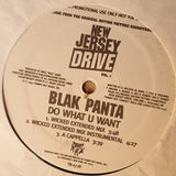 Blak Panta ‎– Do What U Want  - Vinyl LP Record - Very-Good+ Quality (VG+) - C-Plan Audio