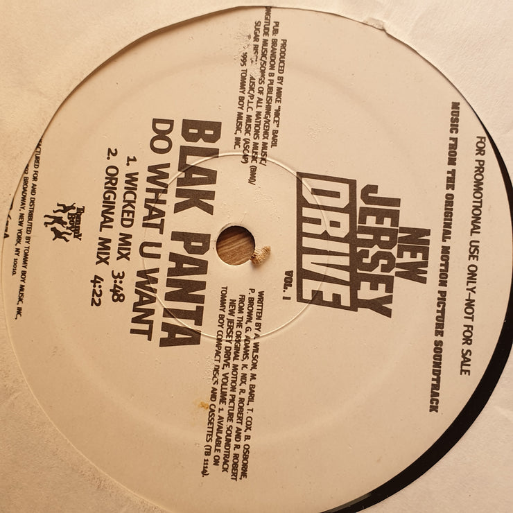 Blak Panta ‎– Do What U Want  - Vinyl LP Record - Very-Good+ Quality (VG+) - C-Plan Audio
