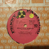 Daniel Boone ‎– Beautiful Sunday - Vinyl 7" Record - Good+ Quality (G+) - C-Plan Audio