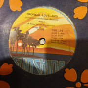 ABBA ‎– Fernando- Vinyl 7" Record - Very-Good+ Quality (VG+) - C-Plan Audio