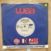 Bellamy Brothers ‎– If I Said You Had A Beautiful Body Would You Hold It Against Me - Vinyl 7" Record - Very-Good+ Quality (VG+) - C-Plan Audio