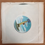 Suzi Quatro ‎– The Race Is On - Vinyl 7" Record - Very-Good+ Quality (VG+) - C-Plan Audio