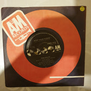 Toni Childs ‎– Stop Your Fussin' - Vinyl 7" Record - Very-Good+ Quality (VG+) - C-Plan Audio